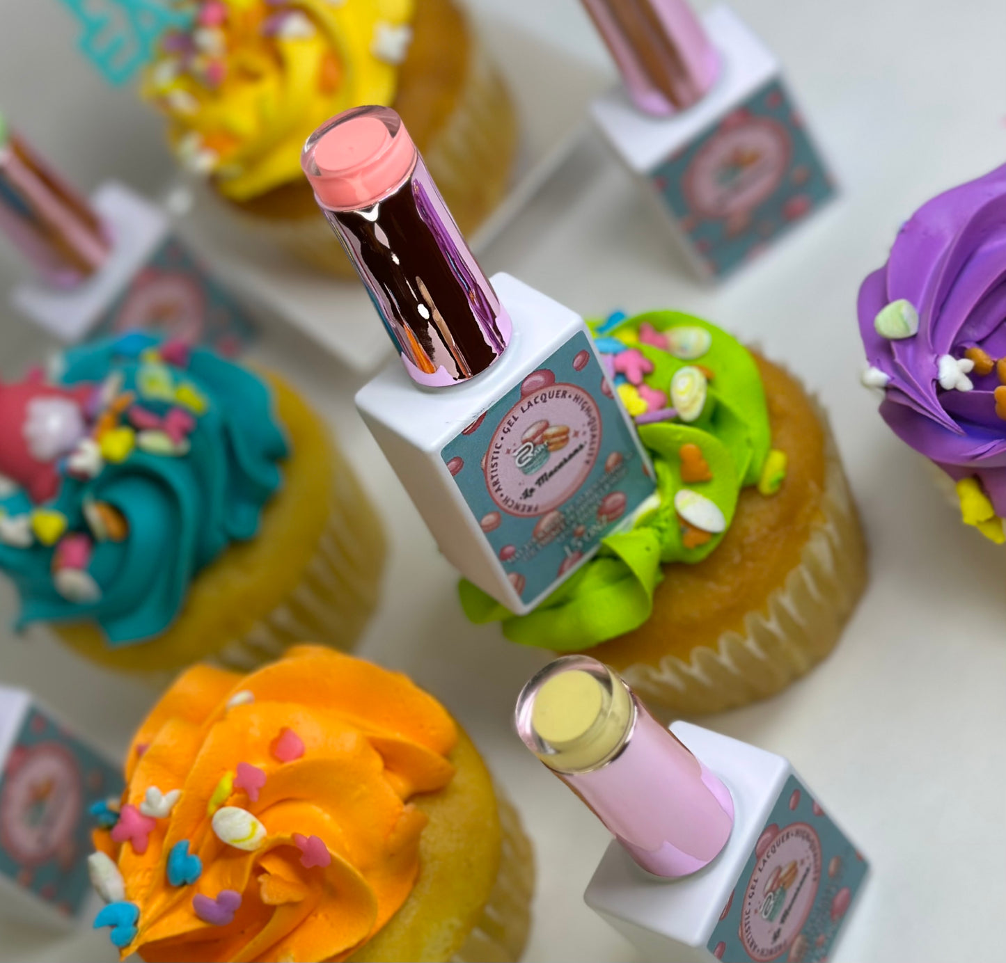 Le Macarons Collection